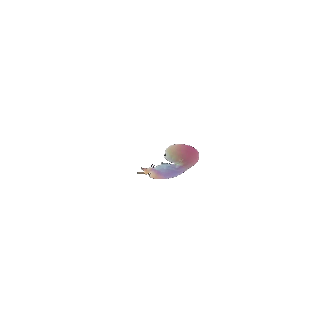 pregnancy tracker frame 24