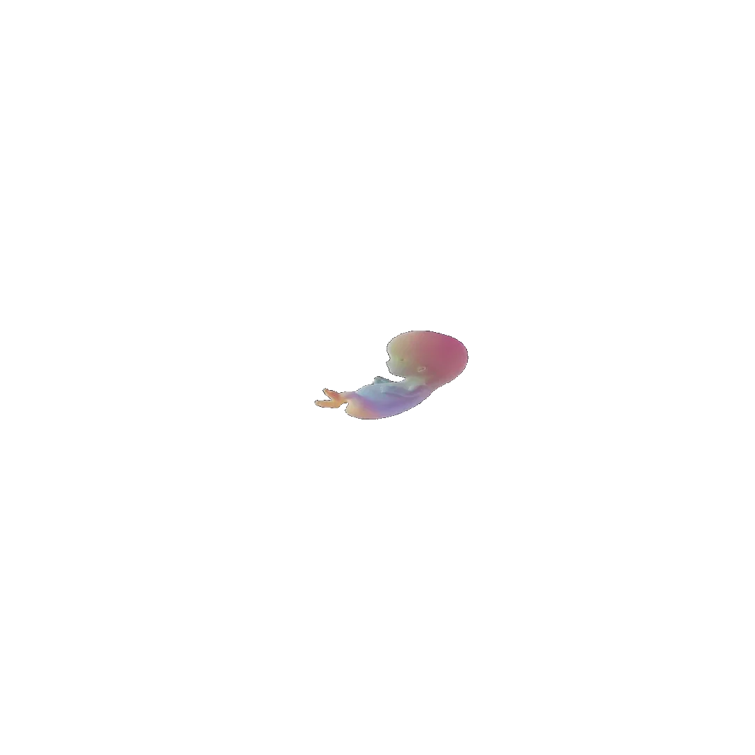 pregnancy tracker frame 26